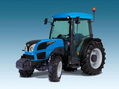 BLUE LANDINI, REX 90F (RP5F)