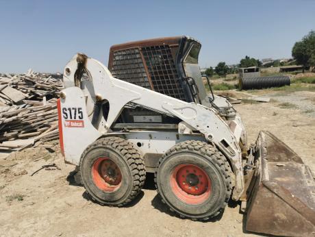 Bobcat, S175
